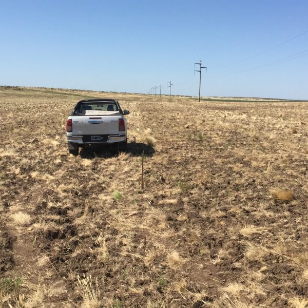 Replanteo LAT PE Mataco San Jorge - ET Bahia Blanca